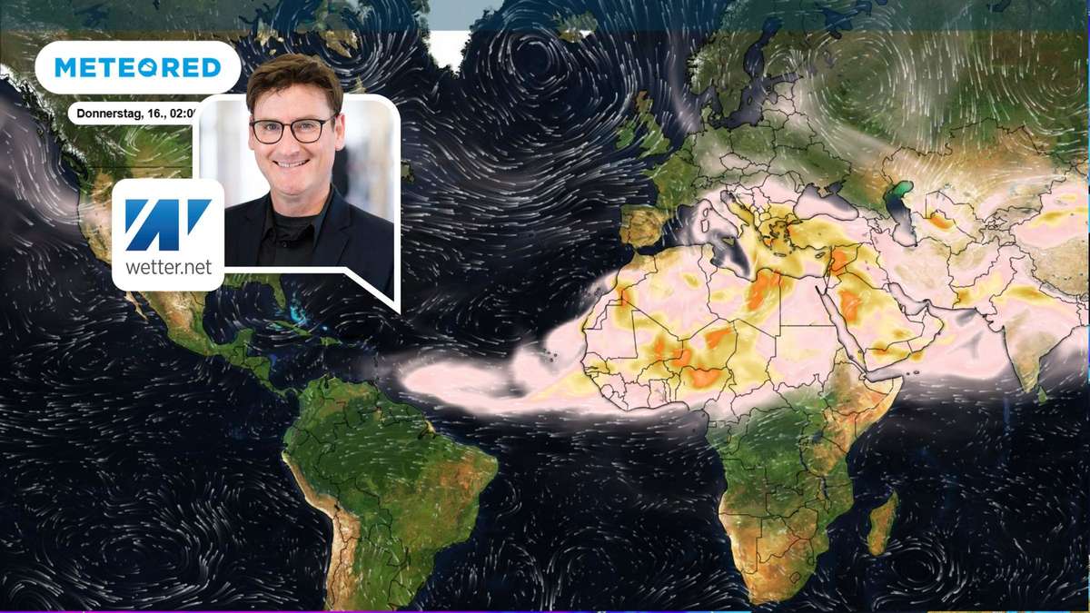 Dominik Jung: Saharan Dust in Germany – Protect Your Car Guide